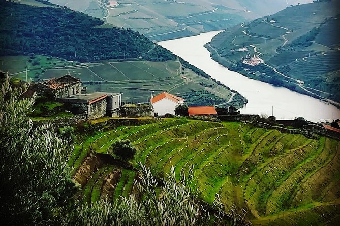Douro Valley Private Wine Tour From Porto - Visiting Casal de Loivos Viewpoint for Panorama