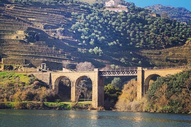 Douro Valley Private Wine Tour From Porto - DOrigem Winery Tour and Tasting