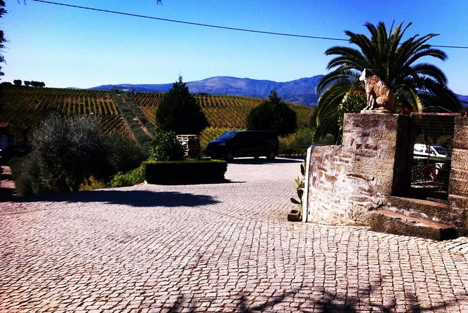 Douro Valley Private Wine Tour From Porto - Scenic River Cruise Along the Douro
