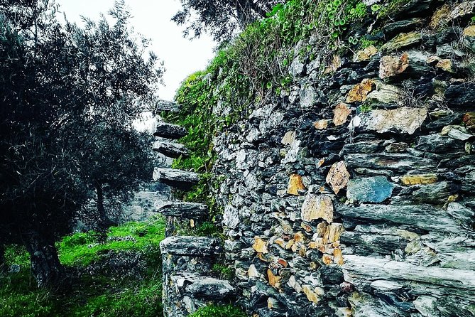 Douro Valley Private Wine Tour From Porto - What’s Not Included: Lunch and Wine Tasting