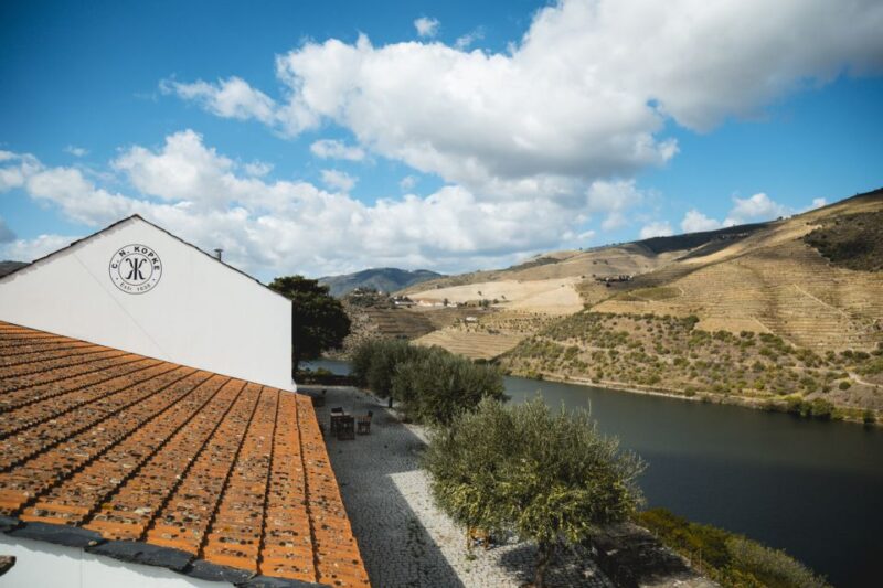 Douro Valley: Quinta de S. Luiz Winery Tour and Tasting - Accessibility and Limitations
