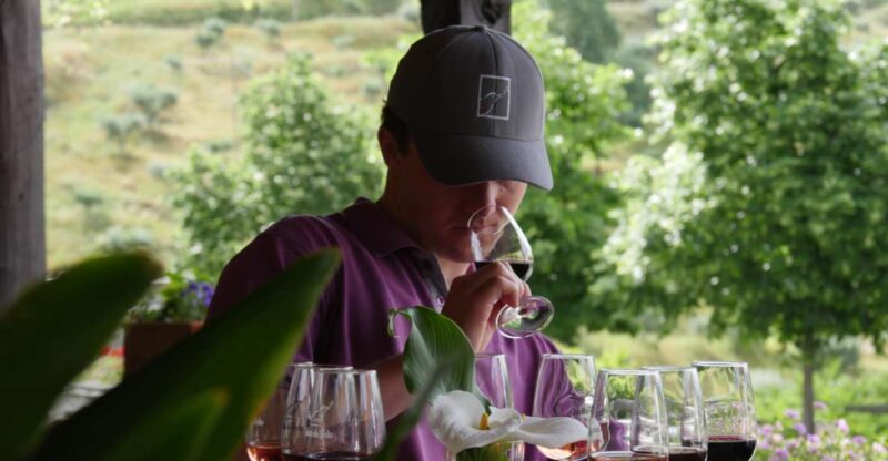 Douro Valley: Quinta do Tedo Winery Tour and Tasting - Discover the Douro Valley’s Finest Wines on a Quinta do Tedo Tour and Tasting