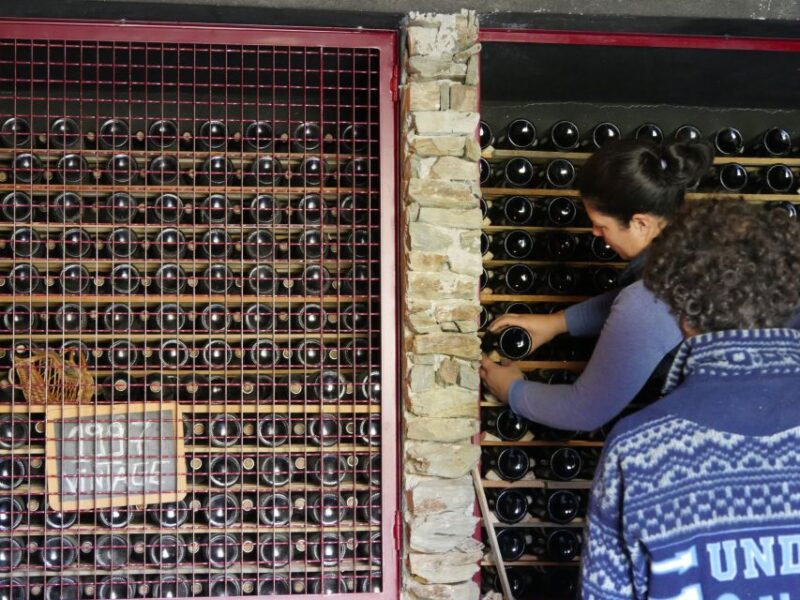 Douro Valley: Quinta do Tedo Winery Tour and Tasting - Key Points