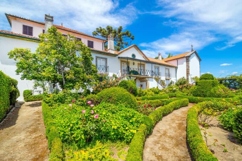 Douro Valley: Quinta Santa Júlia Tour, Wine Tasting & Lunch - Exclusive Wine and Olive Oil Tastings