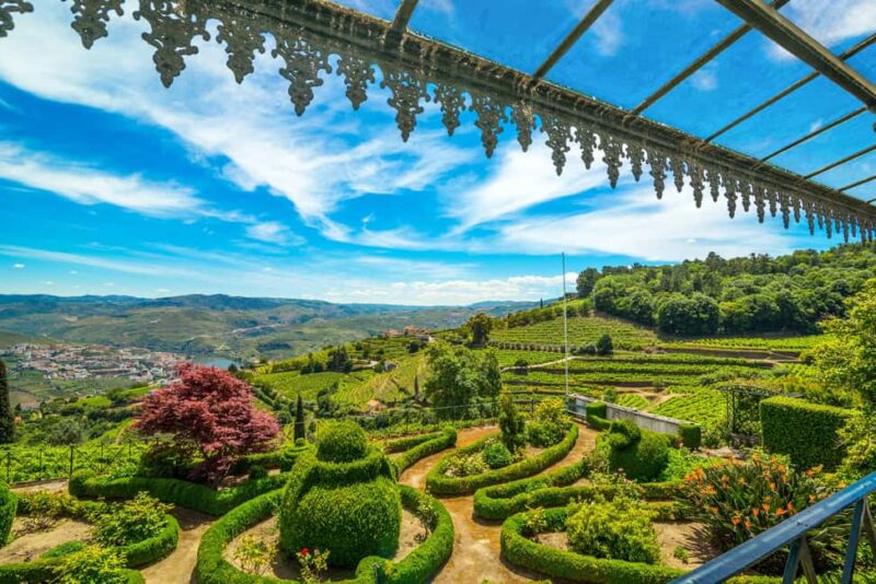 Douro Valley: Quinta Santa Júlia Tour, Wine Tasting & Lunch - Traditional Lunch Over a Wood-Burning Stove