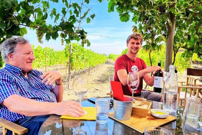 Douro Valley Small-Group Tour: 2 Wineries, Lunch, Optional Cruise - From Porto to the Douro Valley: Hassle-Free Transport