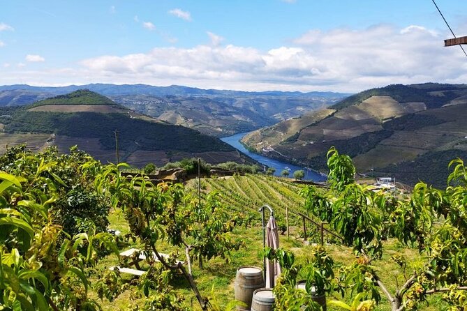 Douro Valley Small-Group Tour: 2 Wineries, Lunch, Optional Cruise - The Guide Experience: Knowledgeable and Friendly