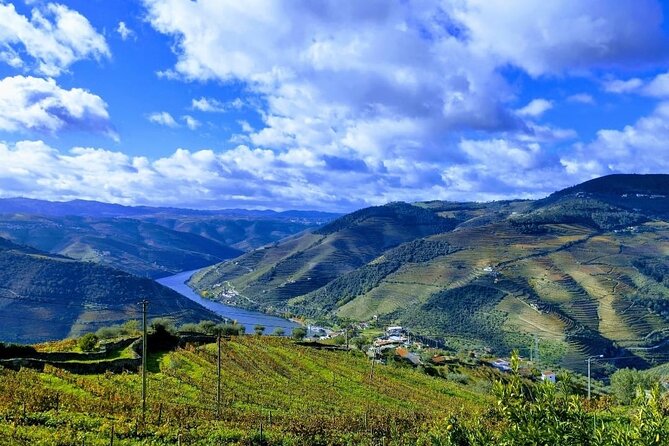 Douro Valley Small-Group Tour: 2 Wineries, Lunch, Optional Cruise - Flexibility and Customization: Optional Cruise and Dietary Needs