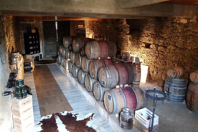 Douro Valley Tour: 2 Vineyard Visits, River Cruise, Winery Lunch - Visiting a Family-Owned Vineyard near Lamego