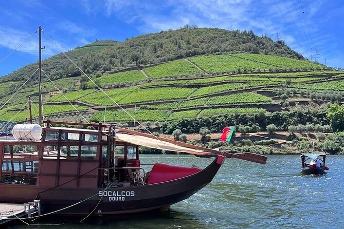 Douro Valley Tour - 3 Wine tastings, Lunch & river Cruise - Visiting the Olive Oil Museum and Local Wineries
