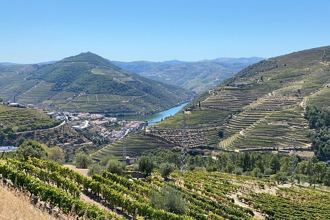 Douro Valley Tour - 3 Wine tastings, Lunch & river Cruise - Visiting Amarante for Cultural and Wine Tastings