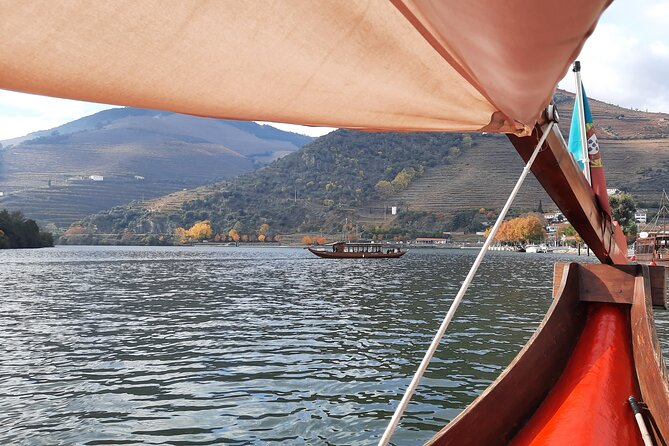 Douro Valley Tour - 3 Wine tastings, Lunch & river Cruise - Practical Details and Included Experiences