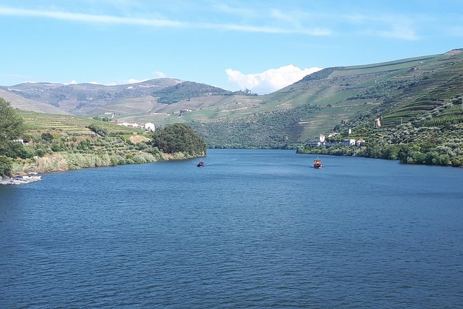 Douro Valley Tour (wine & Food) - Scenic Drive Along the Douro River and Rural Landscapes