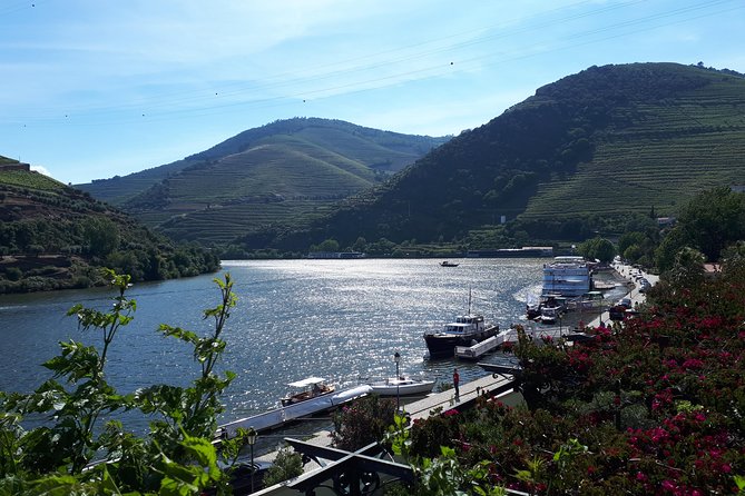 Douro Valley Tour (wine & Food) - Visiting Sandeman’s Quinta do Seixo Vineyard for Port Tasting