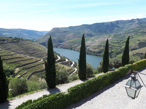 Douro Valley Tour (wine & Food) - Olive Oil Museum and Tasting at DOrigem