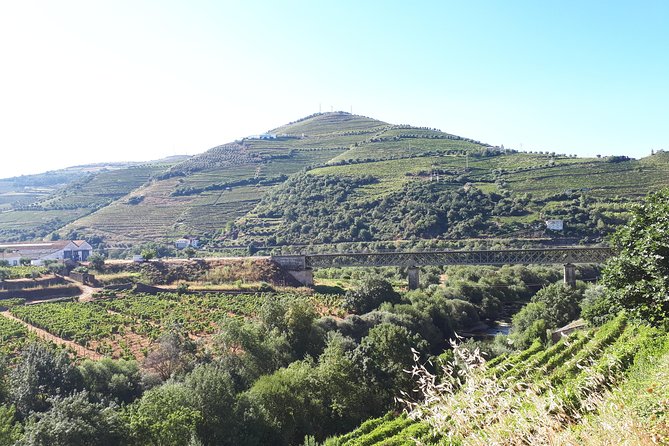 Douro Valley Tour (wine & Food) - Gourmet Lunch and Local Tastings Included