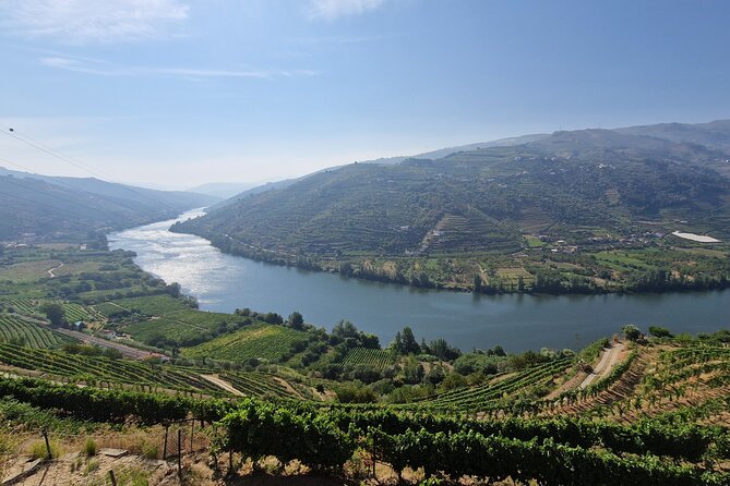 Douro Valley Tour: Wine Tasting River Cruise and Lunch from Porto - Key Points