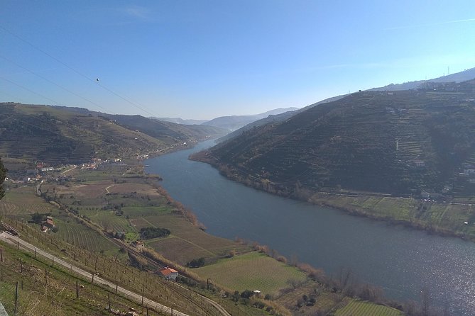 Douro Valley Tour: Wine Tasting River Cruise and Lunch from Porto - Visiting the Birthplaces of Fernão de Magalhães and Miguel Torga