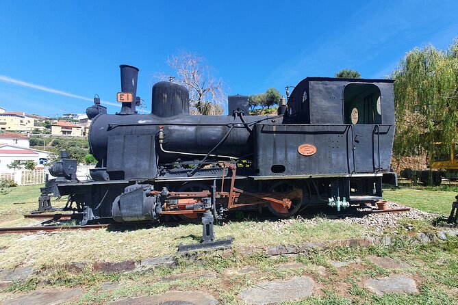 Douro Valley Tour with Train and Vinho Verde - Key Points