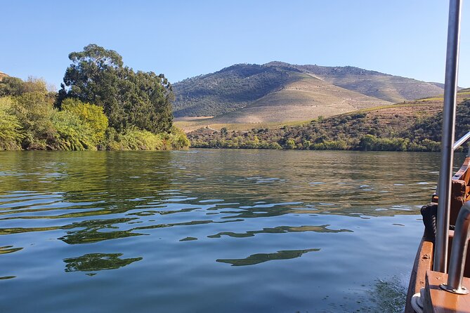 Douro Valley Tour with Train and Vinho Verde - Exploring Amarante’s Sweets and Vinho Verde