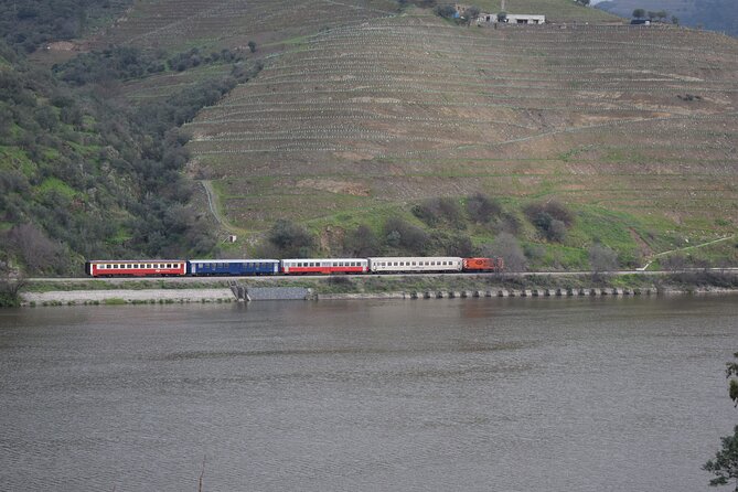 Douro Valley Tour with Train and Vinho Verde - Who Will Enjoy This Douro Valley Tour?