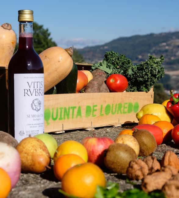 Douro Valley: Traditional Cooking Class, Farm Tour and Lunch - Key Points