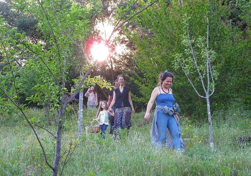 Douro Valley: Traditional Cooking Class, Farm Tour and Lunch - Meeting Farm Animals and Picking Fresh Ingredients