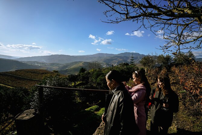 DOURO VALLEY: Visit Small local wineries, lunch & an 1h-boat Tour - The Small Group Advantage