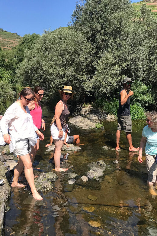 Douro Valley: water walking adventure with local lunch - Enjoying a Traditional Douro Meal in a Local Restaurant