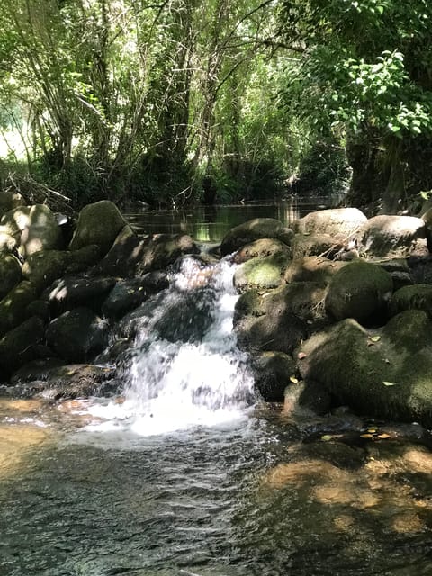 Douro Valley: water walking adventure with local lunch - Practical Details: Meeting Point and Group Size