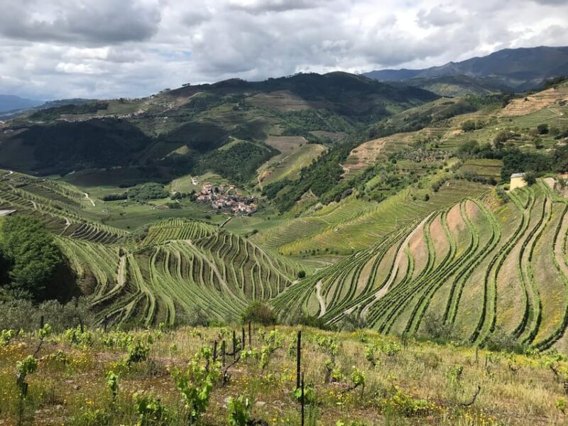 Douro Valley: water walking adventure with local lunch - Final Thoughts on the Douro Water Walking Tour