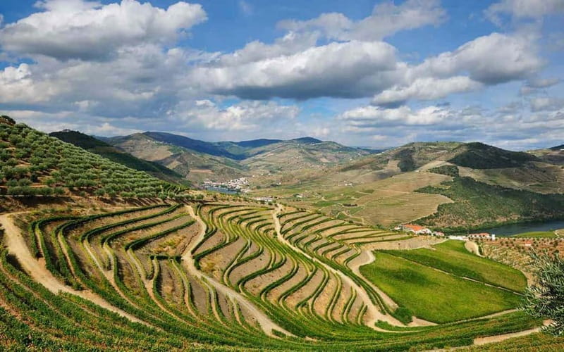 Douro Valley: Wine & Chocolate Tour in the Wine Region - Key Points