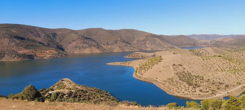 Douro Valley: Wine & Chocolate Tour in the Wine Region - Walking Through Moncorvo Village and the Chocolate Pairing