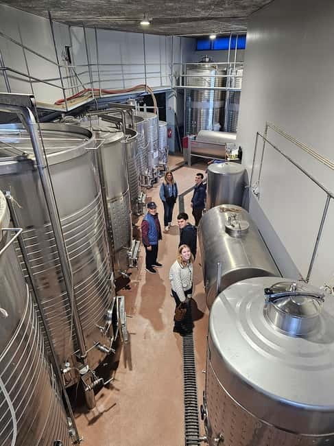 Douro Valley: Wine, History, and Ferdinand Magellan Tour - Visiting Two Prestigious Douro Wineries