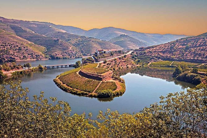 Douro Valley Wine Tour: Local Food & Wine Experience Small Group - Tour Logistics and Group Size