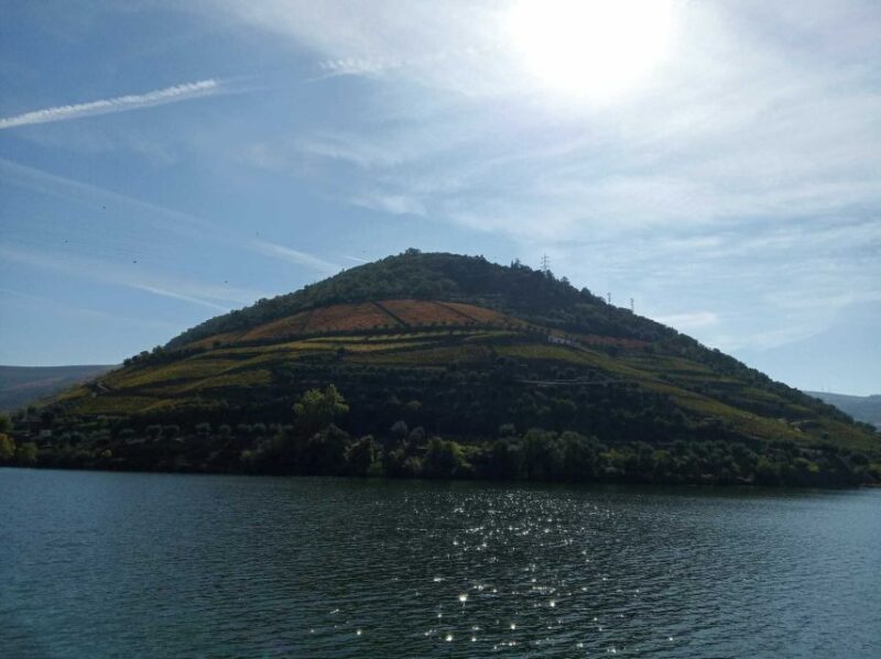 Douro Valley Winery Day Trip with River Cruise - Experience the Douro Valley on a Full-Day Private Tour from Porto