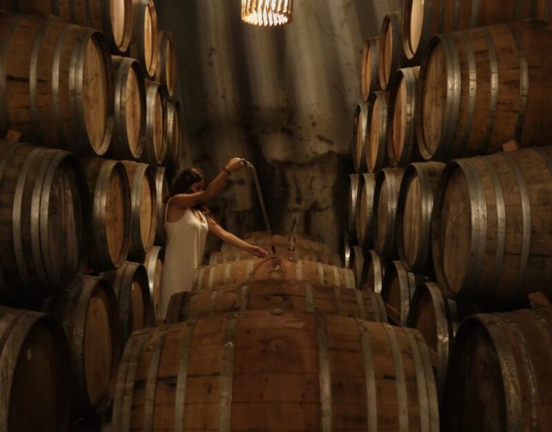 Douro Valley: Winery Tour at Quinta do Tedo and Tastings - Tasting Sessions and Sample Wines