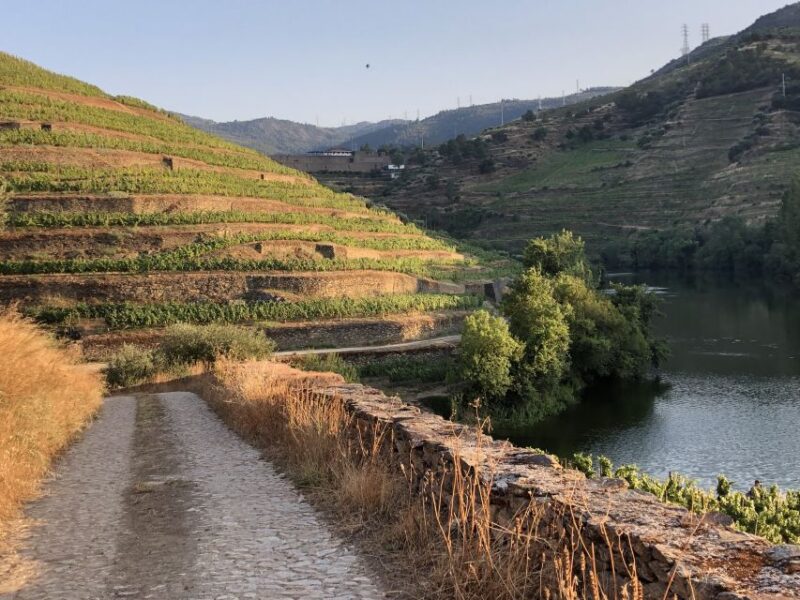 Douro Valley: Winery Tour at Quinta do Tedo and Tastings - Accessibility and Booking Flexibility