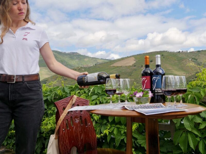 Douro Valley: Winery Tour at Quinta do Tedo and Tastings - Why Choose This Tour for Your Douro Visit