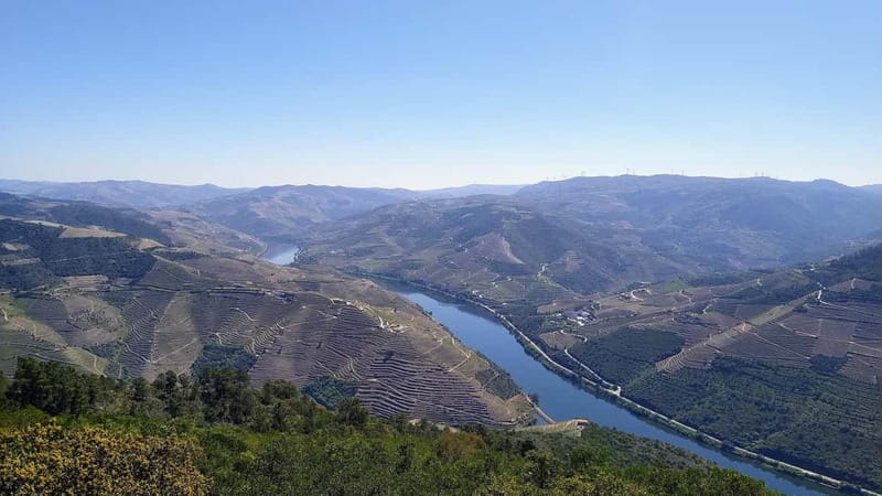 Douro & Vinho Verde Private Tour - Scenic Van Rides Through the Douro Landscape