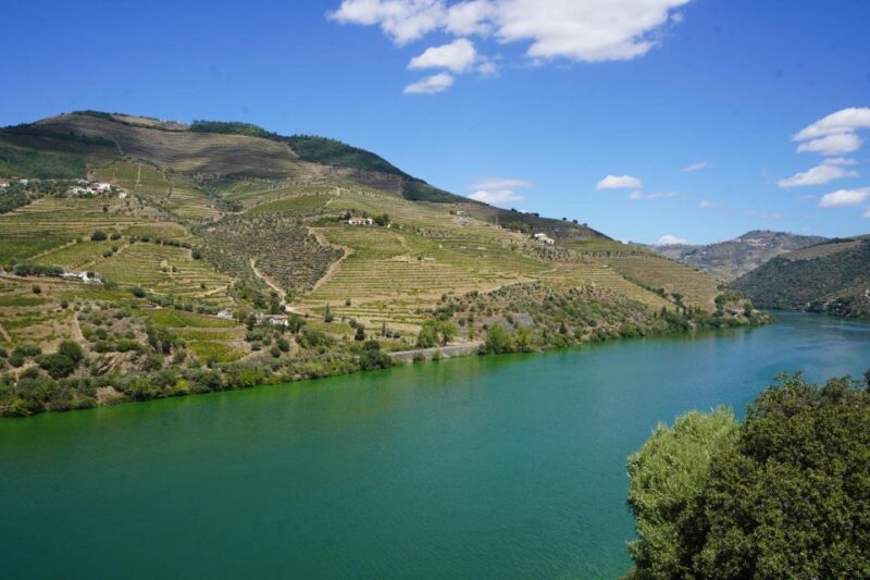 Douro: Wine Tasting and river cruise Experience - Scenic Transfer and Multiple Stops in the Douro Valley
