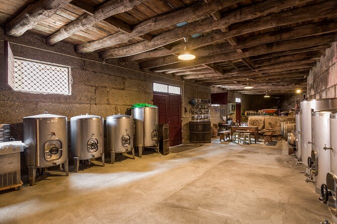 Douro Wine Tasting at a Family Winery in Portugal - The Scenic Douro River and Vineyard Views