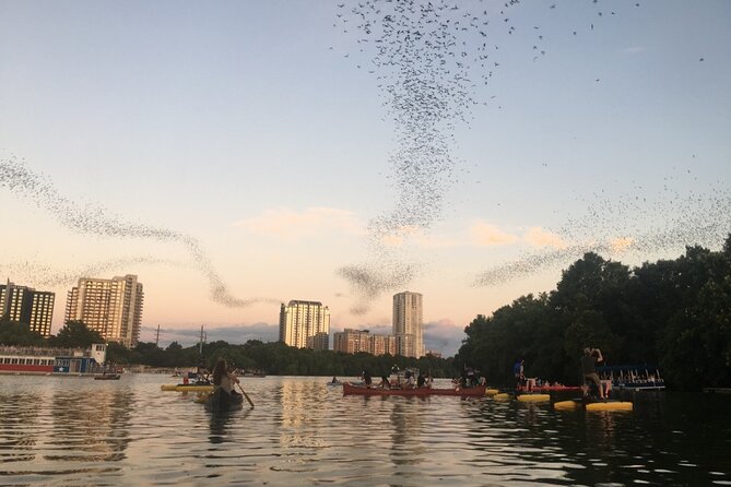 Downtown Austin Sunset Kayak Tour with 1.5 Million Bats - Downtown Austin Sunset Kayak Tour with 1.5 Million Bats: An Unforgettable Water Adventure