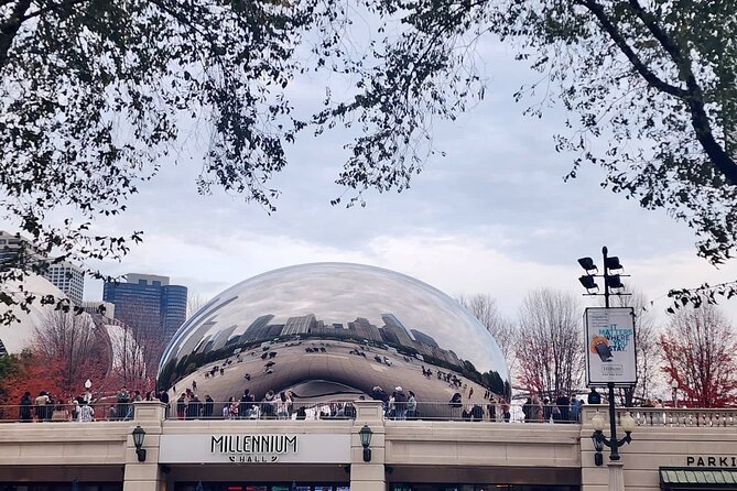 Downtown Chicago Walking Tour - Semi-Private 12ppl Max - The Famous Clarence Buckingham Fountain