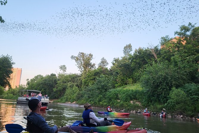 Downtown Houston Bat and Skyline Kayaking Tour - Key Points