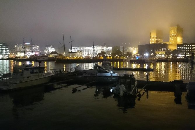 Downtown Oslo: Self-Guided Highlights and History Audio Tour - Ending in Bjørvika: Iconic Views of the Opera House