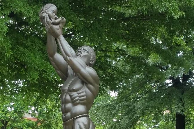 Dr. Martin Luther King Walking Tour with Local Historian - Meeting Point and Tour Logistics in Atlanta