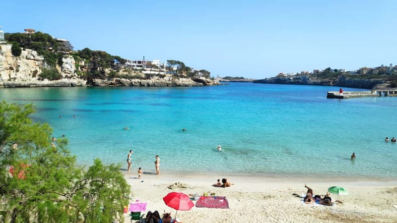 Drach Caves and Palma or Beach Retreat  Full-Day Tour - Key Points