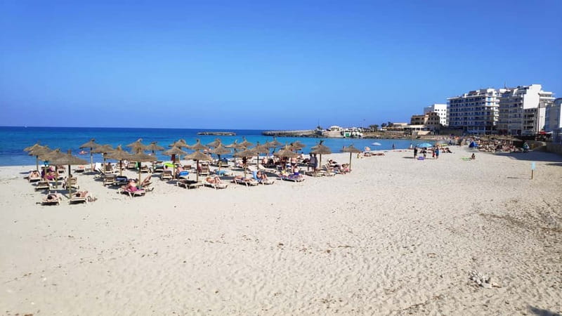 Drach Caves and Palma or Beach Retreat  Full-Day Tour - Comfort and Convenience with Private Transport