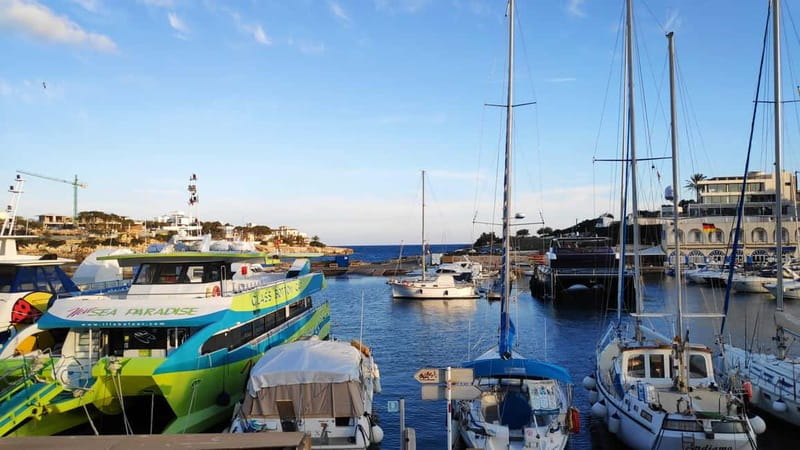 Drach Caves and Palma or Beach Retreat  Full-Day Tour - Scenic Drive and Leisure Time in Porto Cristo